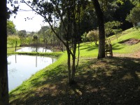 /album/galeria-de-fotos/bosque-ao-lado-os-lagos-jpg/